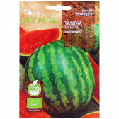 rocalba seed watermelon crimson sweet 4 g - 3