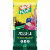 vigorplant substrate acidophilic plants professional 20 l - 1