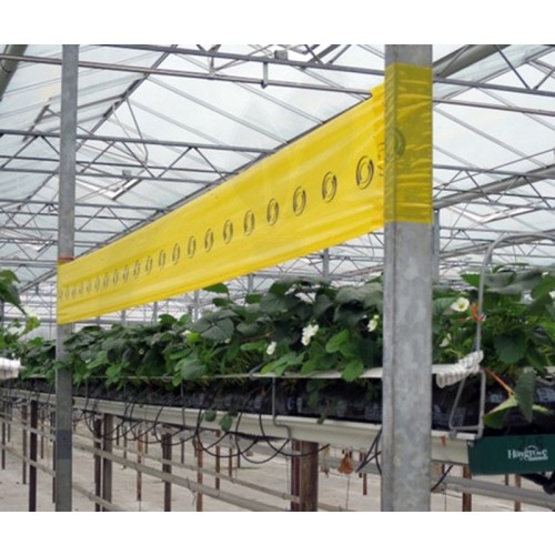 agrisense fly greenhouse sut yellow glue roll 25 m 4 bucati - 3