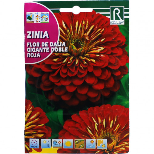 rocalba seed flor de dalia gigante doble roja 4 g - 1