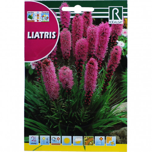 rocalba seed liatris 1 g - 2