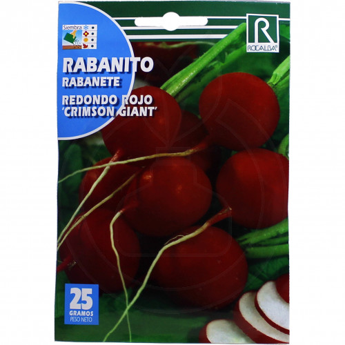rocalba seed radish rojo crimson giant 10 g - 3