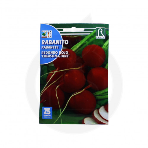 rocalba seed radish rojo crimson giant 100 g - 1