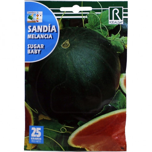 rocalba seed green watermelon sugar baby 25 g - 5