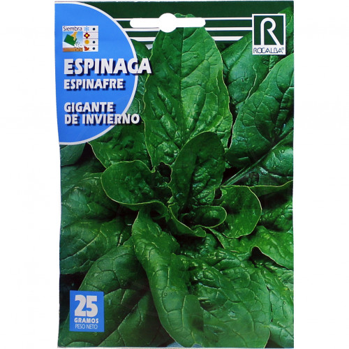 rocalba seed spinach gigante de invierno 25 g - 1