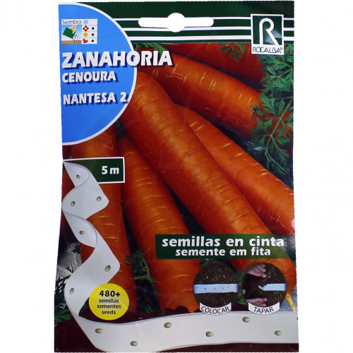 rocalba seed carrot nantesa 2 480 seminte - 1