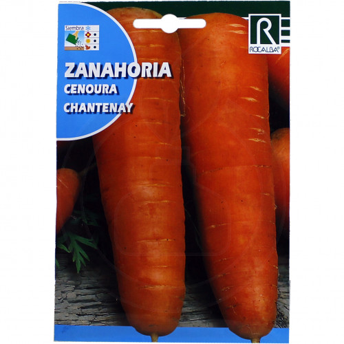 rocalba seed carrot chantenay 10 g - 1