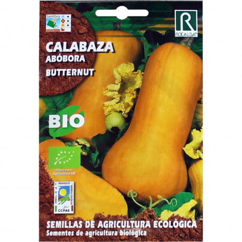 rocalba seed pumpkin butternut 3 g - 1