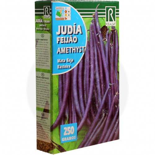 rocalba seed beans violet amethyst 250 g - 1