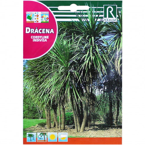 rocalba seed dracaena 0 2 g - 4