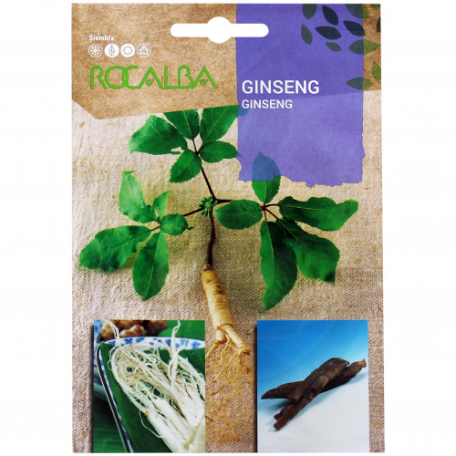 rocalba seed ginseng 4 seeds - 3