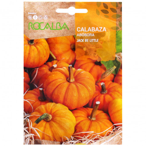 rocalba seed pumpkins jack be little 3 g - 3