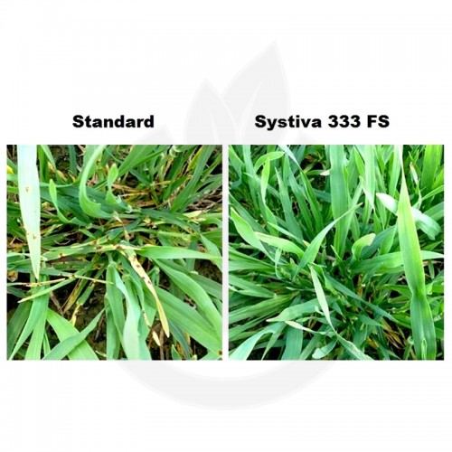 basf fungicide systiva 333 fs 10 l - 4