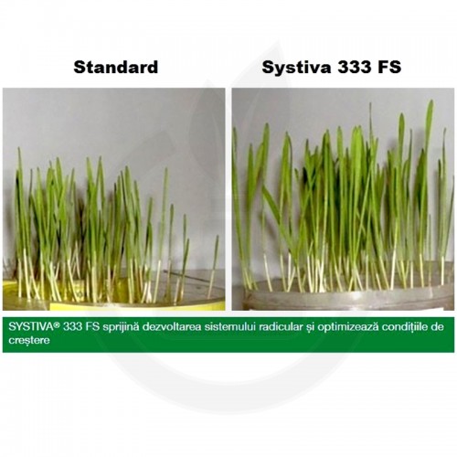 basf fungicide systiva 333 fs 10 l - 6