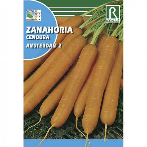 rocalba seed carrot amsterdam 2 100 g - 1