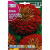 Carciumarese Flor de Dalia Gigante Doble Roja, 4 g