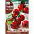 Tomate Red Cherry Bio, 0.5 g