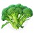Broccoli Calabrese, 10 g