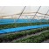 agrisense fly greenhouse sut blue glue roll 25 m 4 bucati - 5