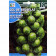 rocalba seed brussel sprouts medio enana de la halle 25 g - 1
