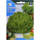 rocalba seed green lettuce lollo bionda 100 g - 1