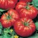 tomate marmande 10 g - 1