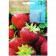 rocalba seed strawberries 0 2 g - 3