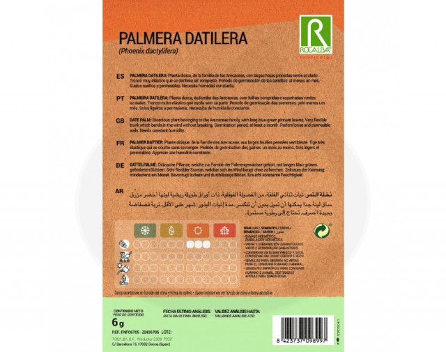 rocalba seed date palm 6 g - 2