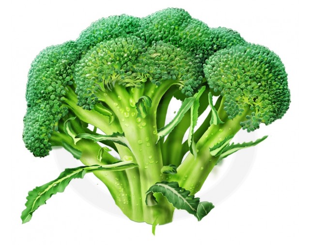 broccoli calabrese 2 g - 1
