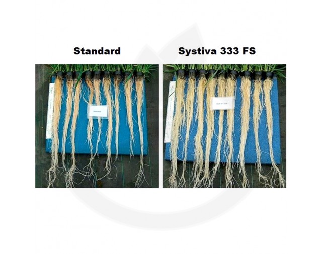 basf fungicide systiva 333 fs 1 litru - 5