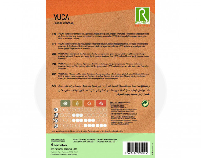 rocalba seed yucca 4 seeds - 1