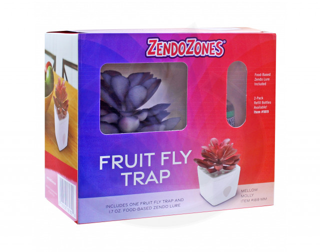 jt eaton trap zendozones fruit fly molly white - 4